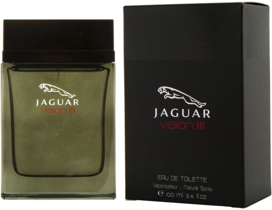 Jaguar Vision III