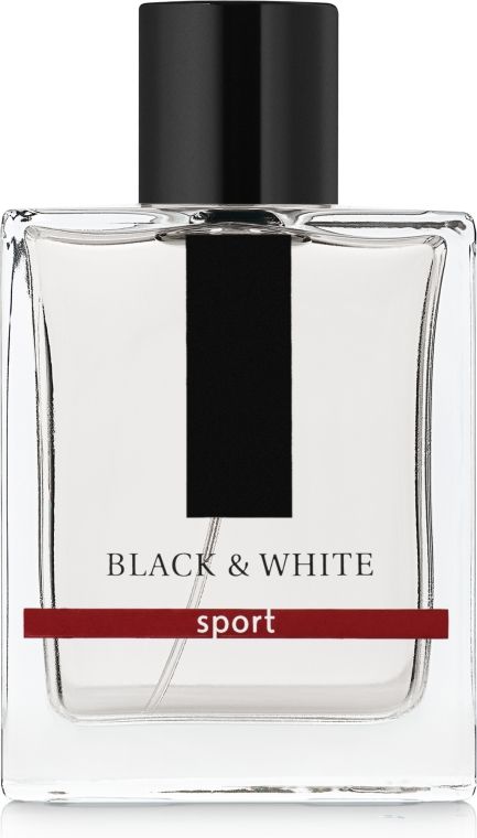 Dilis Parfum La Vie Pour Homme Black & White