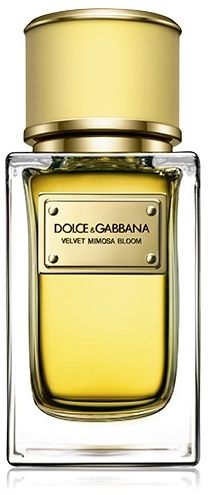 Dolce&Gabbana Velvet Mimosa Bloom