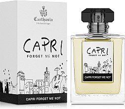 Photo of Carthusia Capri Forget Me Not