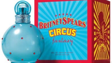 Photo of Britney Spears Circus Fantasy