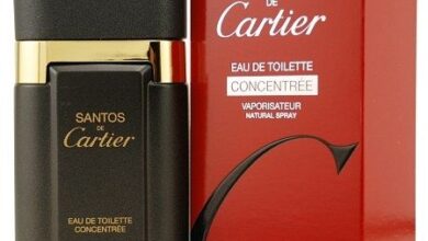 Photo of Cartier Santos De Cartier Concentree