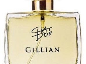 Photo of Chat D'or Gillian
