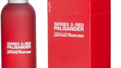 Photo of Comme des Garcons Series 2 Red: Palisander
