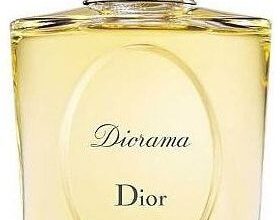 Photo of Dior Diorama