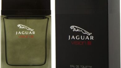 Photo of Jaguar Vision III