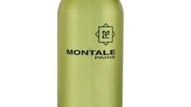 Photo of Montale Aoud Ambre Travel Edition