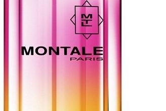 Photo of Montale The New Rose