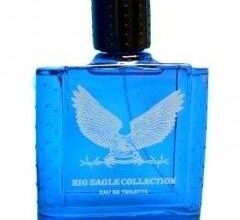 Photo of Real Time Big Eagle Collection Blue