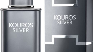 Photo of Yves Saint Laurent Kouros Silver